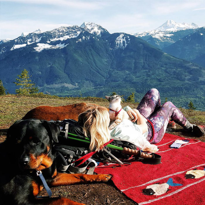 “Camping With Cats” Instagram Will Inspire You To Go Hiking With Your Cat “Camping With Cats” Instagram Will Inspire You To Go Hiking With Your Cat