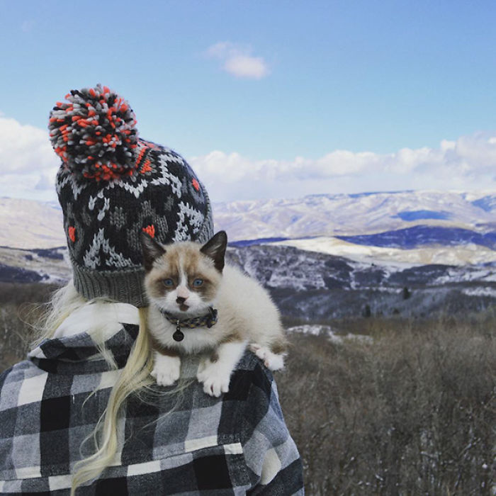 “Camping With Cats” Instagram Will Inspire You To Go Hiking With Your Cat “Camping With Cats” Instagram Will Inspire You To Go Hiking With Your Cat