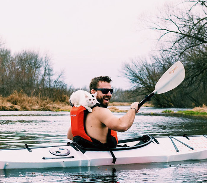 “Camping With Cats” Instagram Will Inspire You To Go Hiking With Your Cat “Camping With Cats” Instagram Will Inspire You To Go Hiking With Your Cat