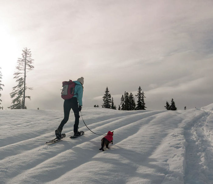 “Camping With Cats” Instagram Will Inspire You To Go Hiking With Your Cat “Camping With Cats” Instagram Will Inspire You To Go Hiking With Your Cat