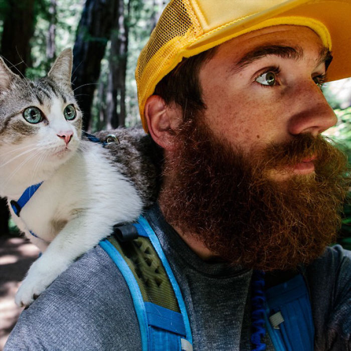 “Camping With Cats” Instagram Will Inspire You To Go Hiking With Your Cat “Camping With Cats” Instagram Will Inspire You To Go Hiking With Your Cat