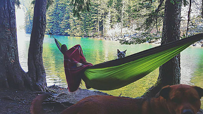 “Camping With Cats” Instagram Will Inspire You To Go Hiking With Your Cat “Camping With Cats” Instagram Will Inspire You To Go Hiking With Your Cat