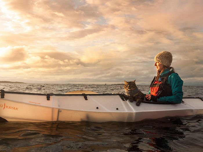 “Camping With Cats” Instagram Will Inspire You To Go Hiking With Your Cat “Camping With Cats” Instagram Will Inspire You To Go Hiking With Your Cat