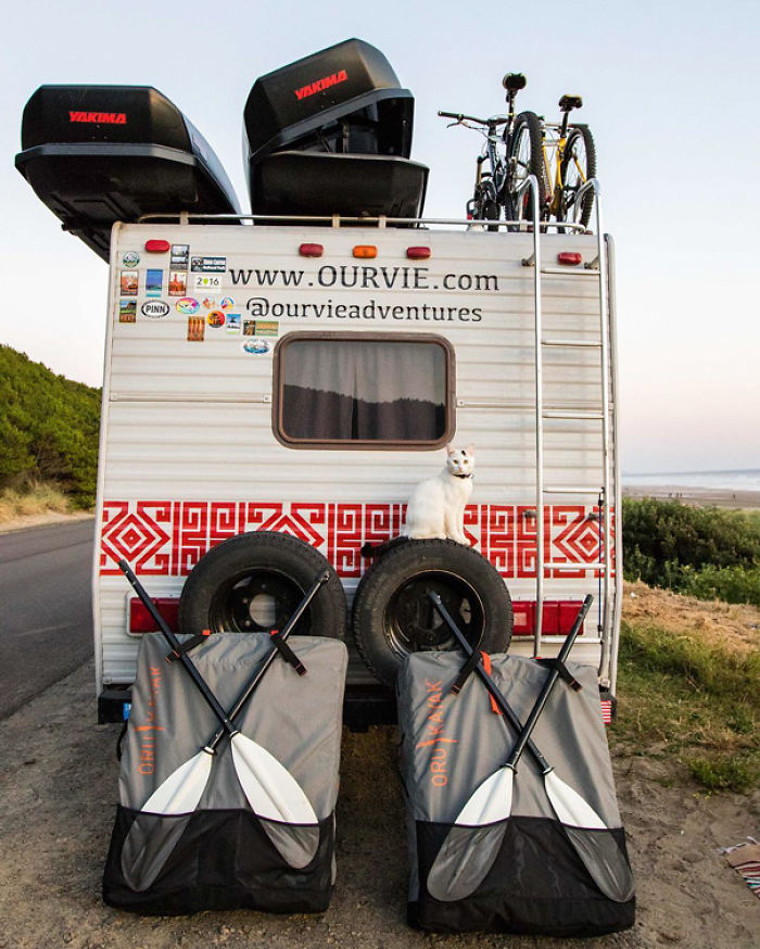 “Camping With Cats” Instagram Will Inspire You To Go Hiking With Your Cat “Camping With Cats” Instagram Will Inspire You To Go Hiking With Your Cat