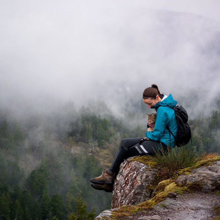 “Camping With Cats” Instagram Will Inspire You To Go Hiking With Your Cat “Camping With Cats” Instagram Will Inspire You To Go Hiking With Your Cat