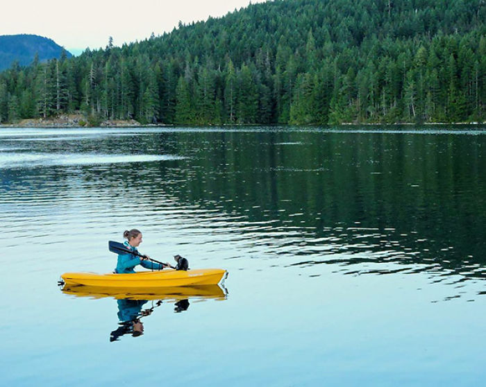 “Camping With Cats” Instagram Will Inspire You To Go Hiking With Your Cat “Camping With Cats” Instagram Will Inspire You To Go Hiking With Your Cat