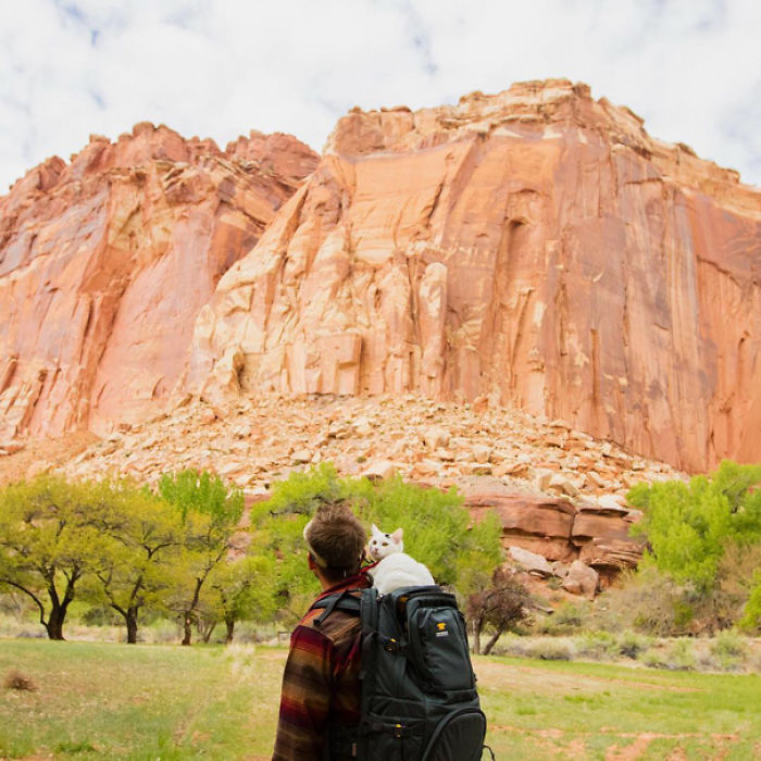 “Camping With Cats” Instagram Will Inspire You To Go Hiking With Your Cat “Camping With Cats” Instagram Will Inspire You To Go Hiking With Your Cat