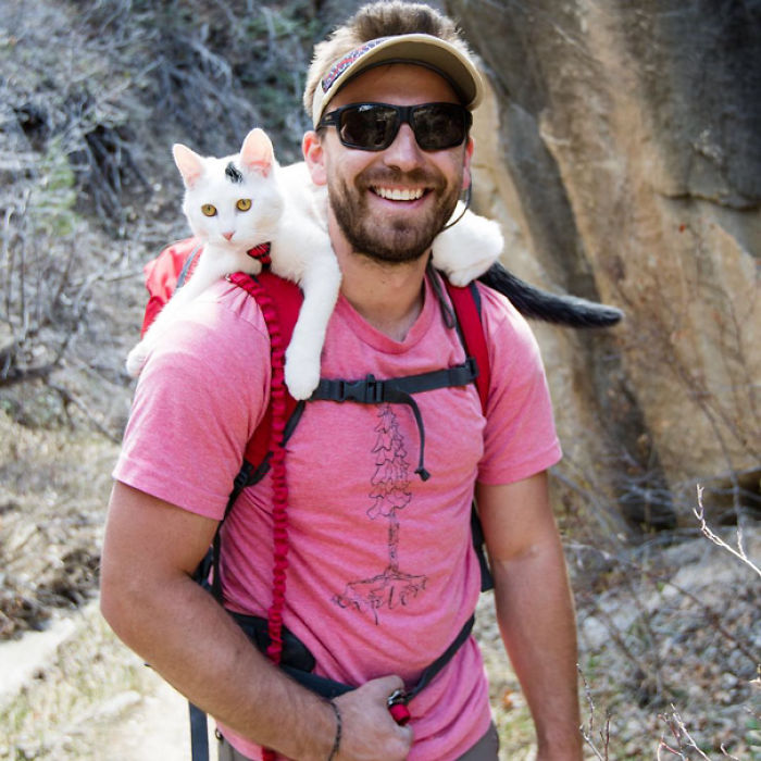 “Camping With Cats” Instagram Will Inspire You To Go Hiking With Your Cat “Camping With Cats” Instagram Will Inspire You To Go Hiking With Your Cat