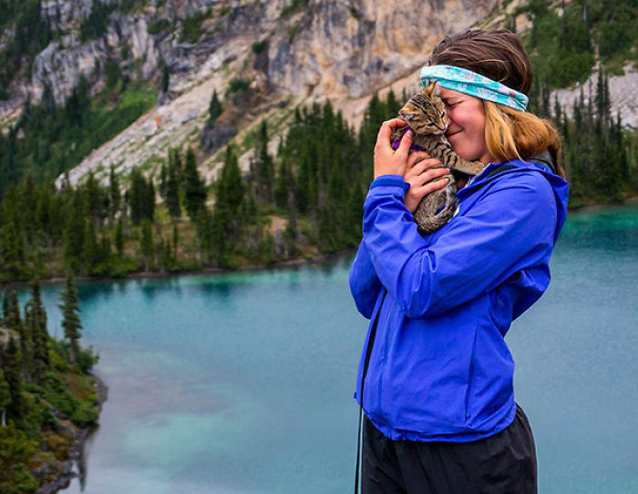 “Camping With Cats” Instagram Will Inspire You To Go Hiking With Your Cat “Camping With Cats” Instagram Will Inspire You To Go Hiking With Your Cat
