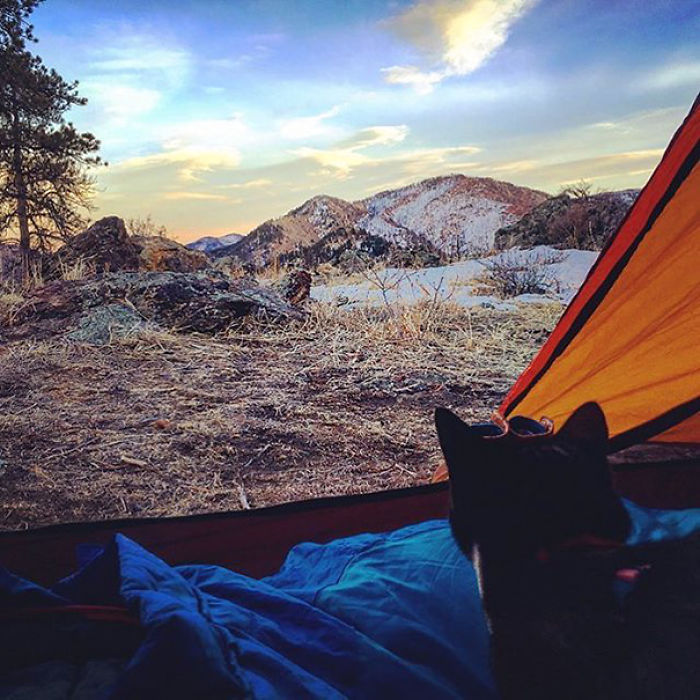 “Camping With Cats” Instagram Will Inspire You To Go Hiking With Your Cat “Camping With Cats” Instagram Will Inspire You To Go Hiking With Your Cat