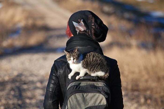 “Camping With Cats” Instagram Will Inspire You To Go Hiking With Your Cat “Camping With Cats” Instagram Will Inspire You To Go Hiking With Your Cat