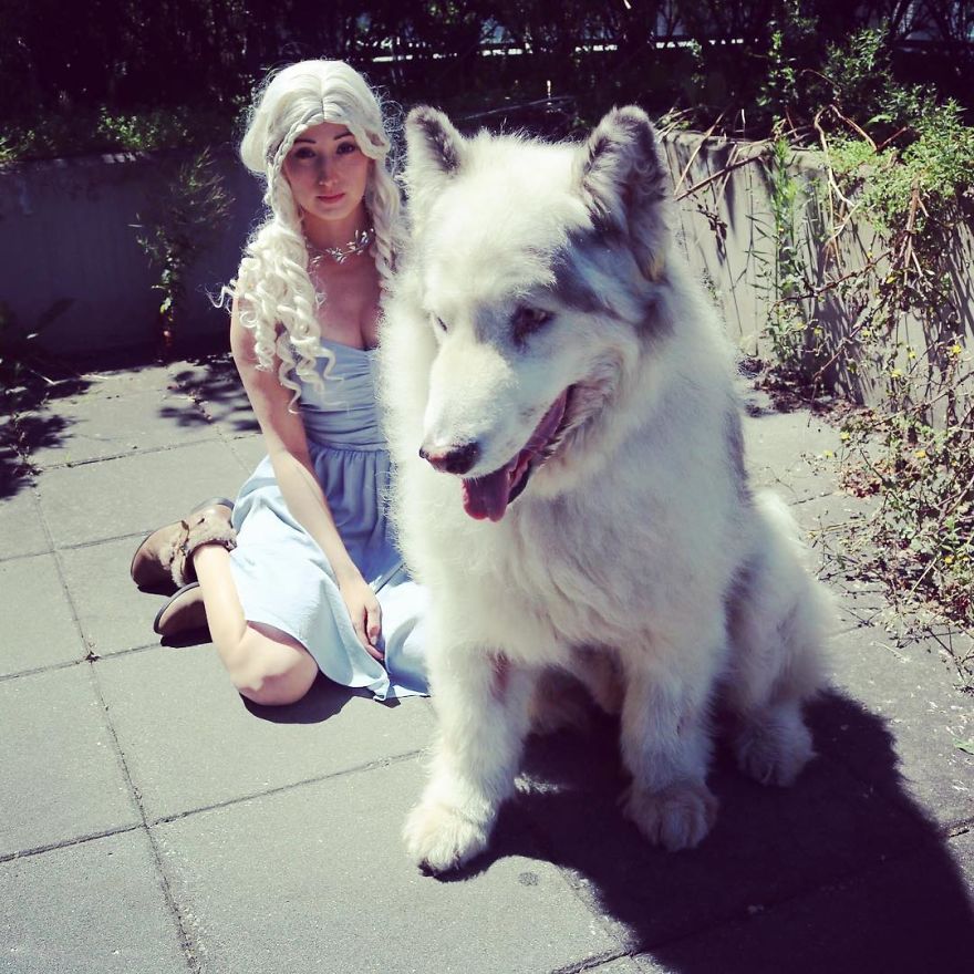 Direwolves Are Real (Sort Of) Direwolves Are Real (Sort Of)