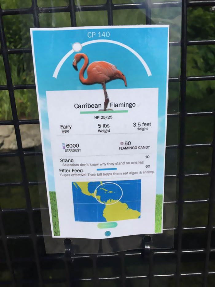 Zookeeper Can&#8217;t Take It Anymore, Decides To Add Pokemon Go Signs Next To Animals