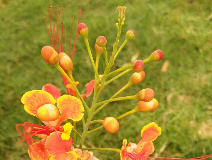 Describe Your Relationship With A Movie Poster Describe Your Relationship With A Movie Poster