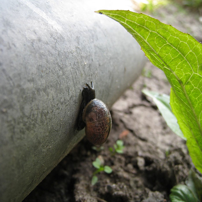 Bored Panda Office Tried Out Prisma App That Turns Photos Into Paintings, Here Are The Results