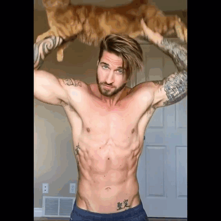 How To Get Purrfect Body Using Your Cat How To Get Purrfect Body Using Your Cat