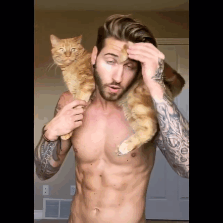 How To Get Purrfect Body Using Your Cat How To Get Purrfect Body Using Your Cat