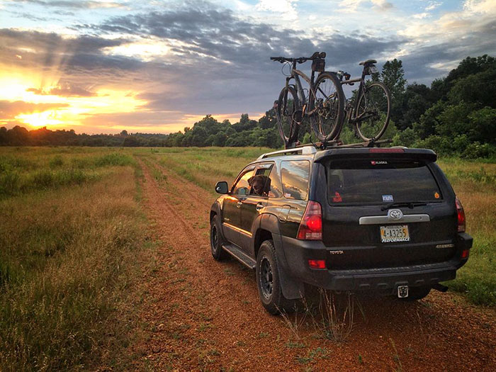 After His Dog Was Diagnosed With Cancer, The Owner Took Him On A Final Epic Road Trip After His Dog Was Diagnosed With Cancer, The Owner Took Him On A Final Epic Road Trip