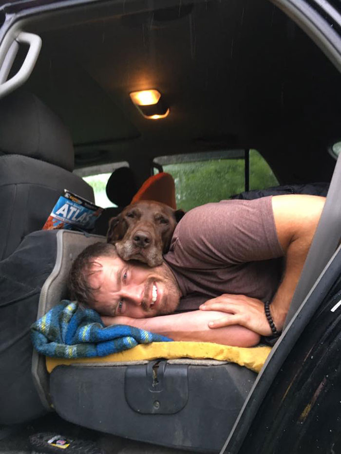 After His Dog Was Diagnosed With Cancer, The Owner Took Him On A Final Epic Road Trip After His Dog Was Diagnosed With Cancer, The Owner Took Him On A Final Epic Road Trip