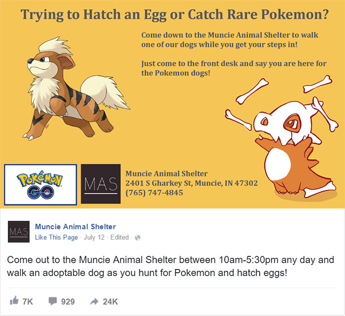 When This Animal Shelter Asked Pokémon Go Players To Walk Their Dogs, They Didn&#8217;t Expect This