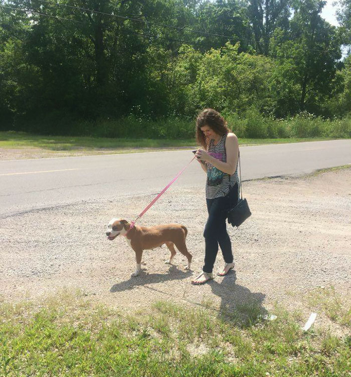 When This Animal Shelter Asked Pokémon Go Players To Walk Their Dogs, They Didn&#8217;t Expect This