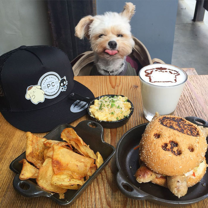 This Rescue Dog&#8217;s Instagram Filled With Food Porn Is Your New Favorite Foodie