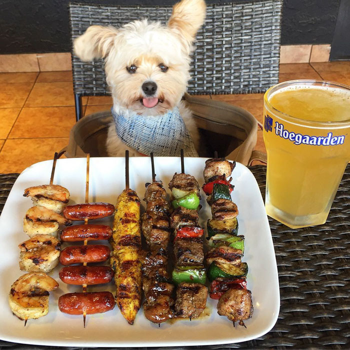 This Rescue Dog&#8217;s Instagram Filled With Food Porn Is Your New Favorite Foodie