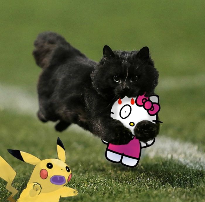 Cat Interrupts A Rugby Game, Internet Responds (PS Battle)