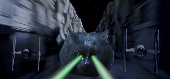 Cat Interrupts A Rugby Game, Internet Responds (PS Battle)