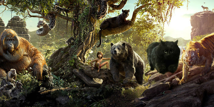 Cat Interrupts A Rugby Game, Internet Responds (PS Battle)