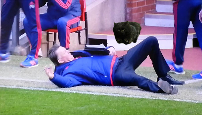 Cat Interrupts A Rugby Game, Internet Responds (PS Battle)