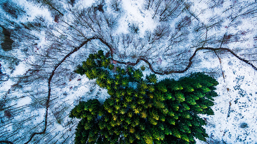 23 Of The Best Drone Photos Of 2016 23 Of The Best Drone Photos Of 2016