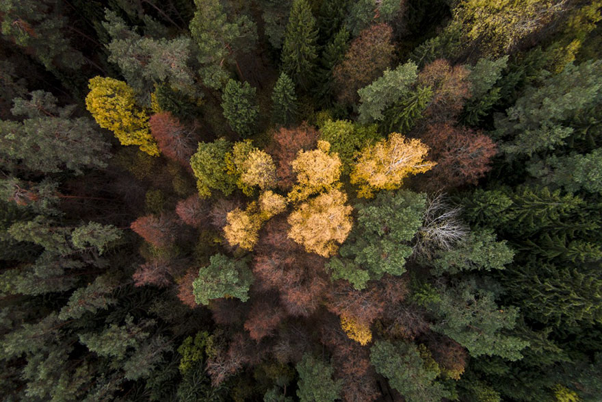 23 Of The Best Drone Photos Of 2016 23 Of The Best Drone Photos Of 2016