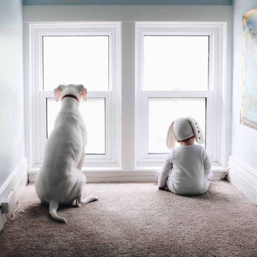 Our Rescue Puppy Is The Best Sleeping Buddy To Our 8-Month-Old Son Our Rescue Puppy Is The Best Sleeping Buddy To Our 8-Month-Old Son