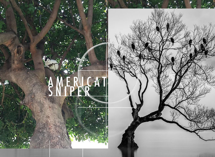 This Cat Looks Like It’s Holding A Tiny Machine Gun (PS Battle) This Cat Looks Like It’s Holding A Tiny Machine Gun (PS Battle)