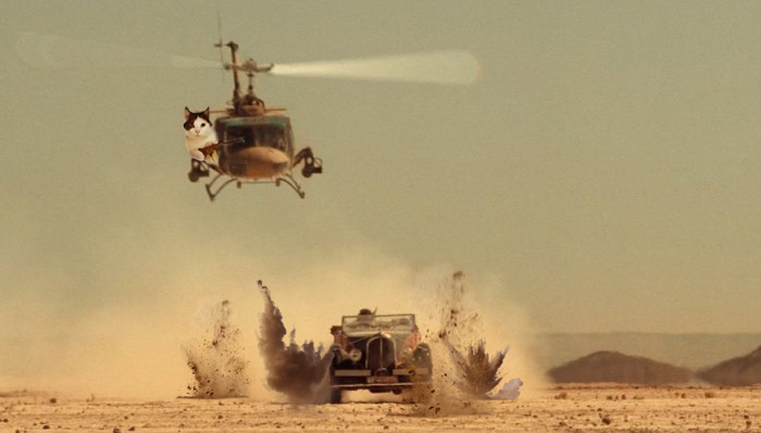 This Cat Looks Like It’s Holding A Tiny Machine Gun (PS Battle) This Cat Looks Like It’s Holding A Tiny Machine Gun (PS Battle)