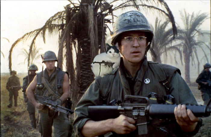 This Cat Looks Like It’s Holding A Tiny Machine Gun (PS Battle) This Cat Looks Like It’s Holding A Tiny Machine Gun (PS Battle)