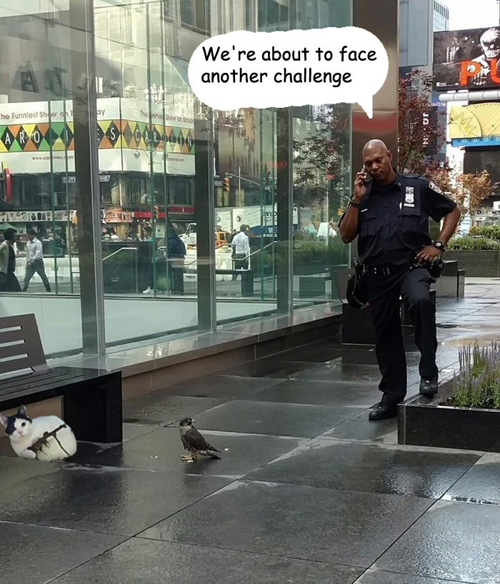 This Cat Looks Like It’s Holding A Tiny Machine Gun (PS Battle) This Cat Looks Like It’s Holding A Tiny Machine Gun (PS Battle)