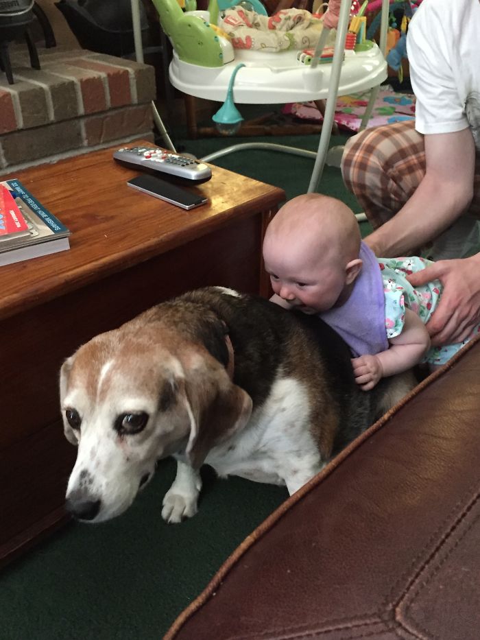 111 Reasons Why Kids Can&#8217;t Be Left Alone With Their Dads