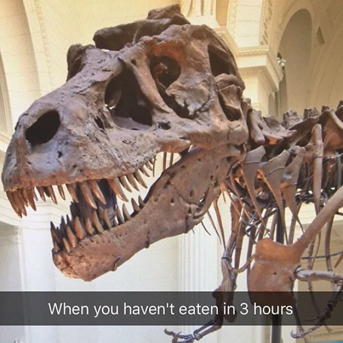 101 Museum Snapchats That&#8217;ll Make Art History Fun Again