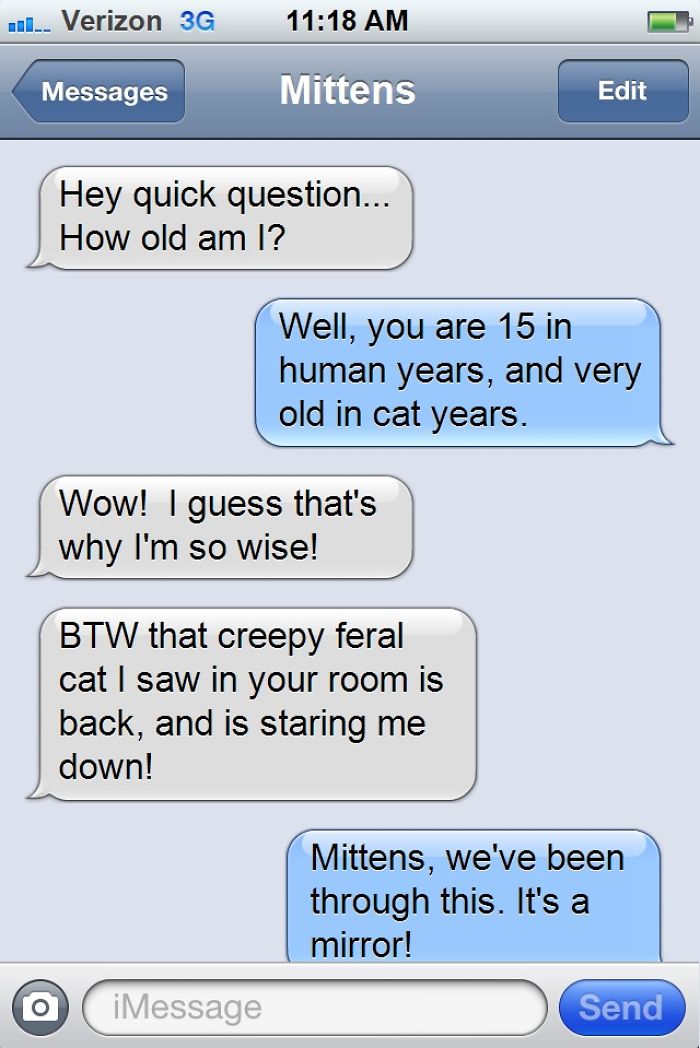 What If Cats Could Text? Woman Shares Conversations With Her 3 Rescued Cats What If Cats Could Text? Woman Shares Conversations With Her 3 Rescued Cats