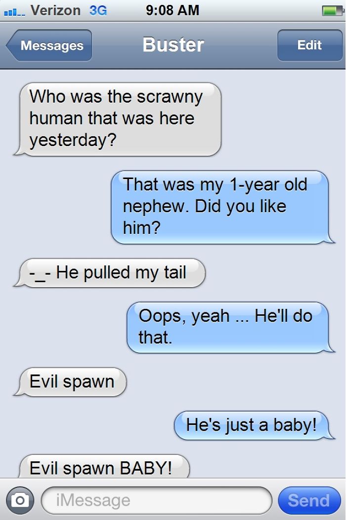 What If Cats Could Text? Woman Shares Conversations With Her 3 Rescued Cats What If Cats Could Text? Woman Shares Conversations With Her 3 Rescued Cats