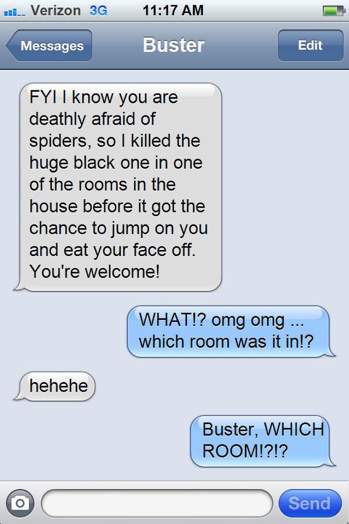 What If Cats Could Text? Woman Shares Conversations With Her 3 Rescued Cats What If Cats Could Text? Woman Shares Conversations With Her 3 Rescued Cats