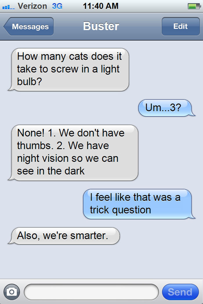 What If Cats Could Text? Woman Shares Conversations With Her 3 Rescued Cats What If Cats Could Text? Woman Shares Conversations With Her 3 Rescued Cats