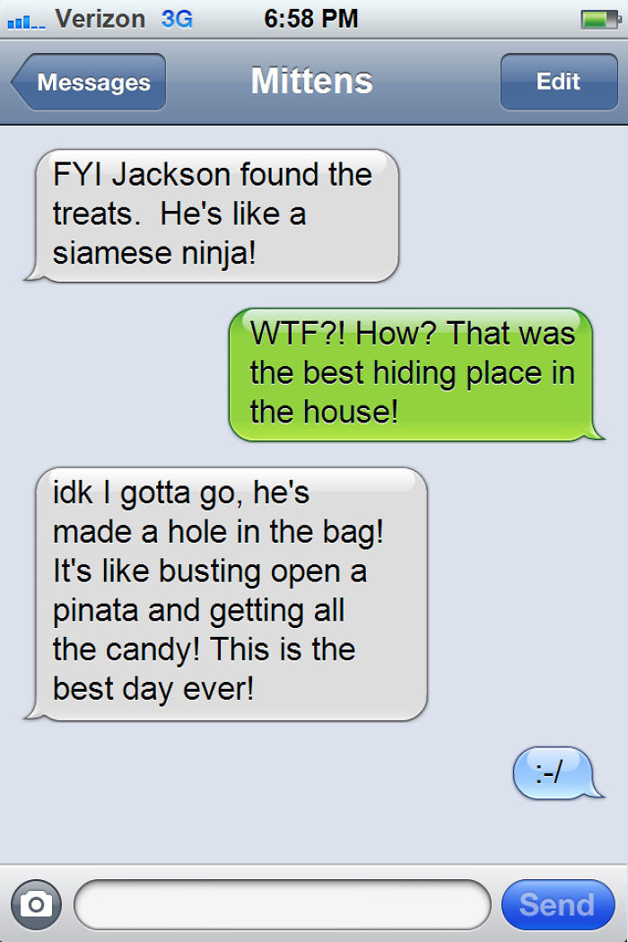 What If Cats Could Text? Woman Shares Conversations With Her 3 Rescued Cats What If Cats Could Text? Woman Shares Conversations With Her 3 Rescued Cats