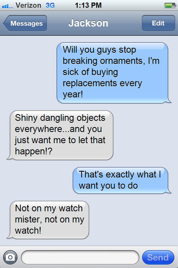 What If Cats Could Text? Woman Shares Conversations With Her 3 Rescued Cats What If Cats Could Text? Woman Shares Conversations With Her 3 Rescued Cats