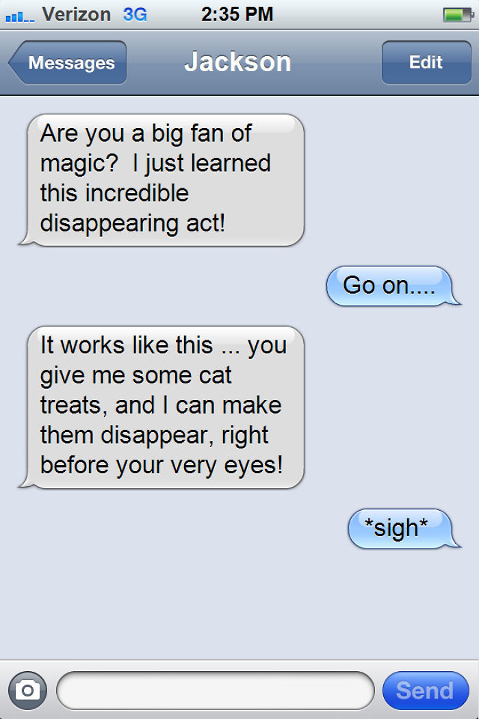 What If Cats Could Text? Woman Shares Conversations With Her 3 Rescued Cats What If Cats Could Text? Woman Shares Conversations With Her 3 Rescued Cats