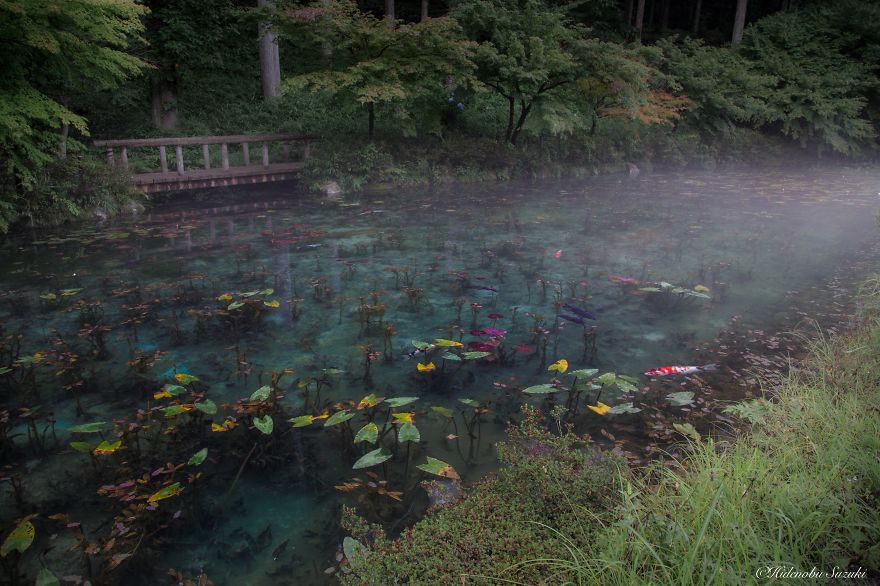 &#8216;Monet&#8217;s Pond&#8217; In Japan That Looks Like Monet&#8217;s Paintings