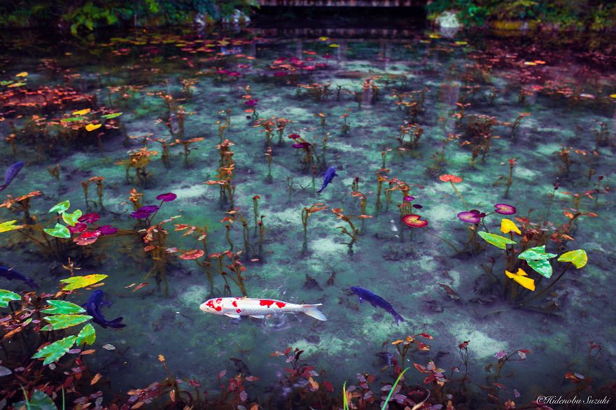 &#8216;Monet&#8217;s Pond&#8217; In Japan That Looks Like Monet&#8217;s Paintings