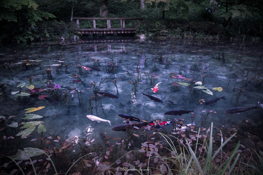 &#8216;Monet&#8217;s Pond&#8217; In Japan That Looks Like Monet&#8217;s Paintings